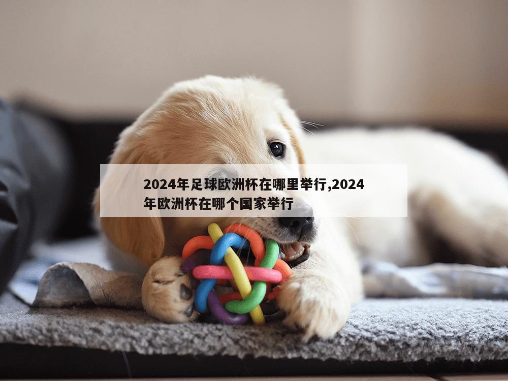 2024年足球欧洲杯在哪里举行,2024年欧洲杯在哪个国家举行