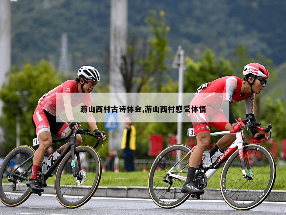 游山西村古诗体会,游山西村感受体悟