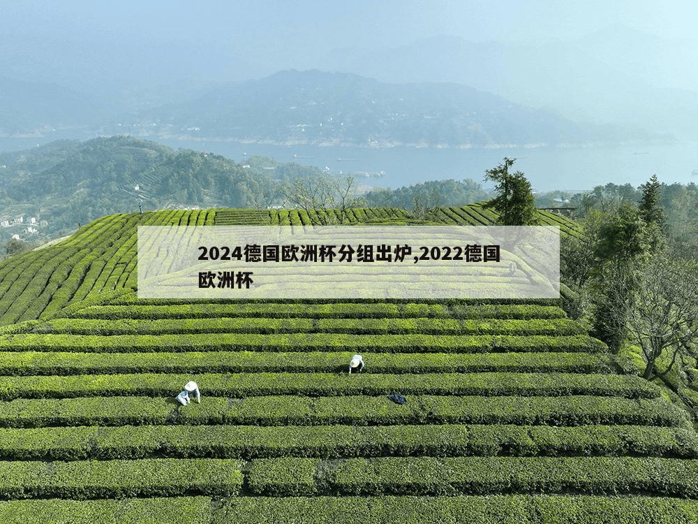 2024德国欧洲杯分组出炉,2022德国欧洲杯