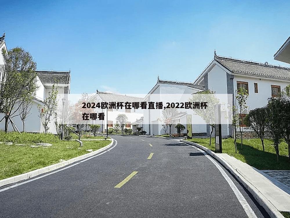 2024欧洲杯在哪看直播,2022欧洲杯在哪看