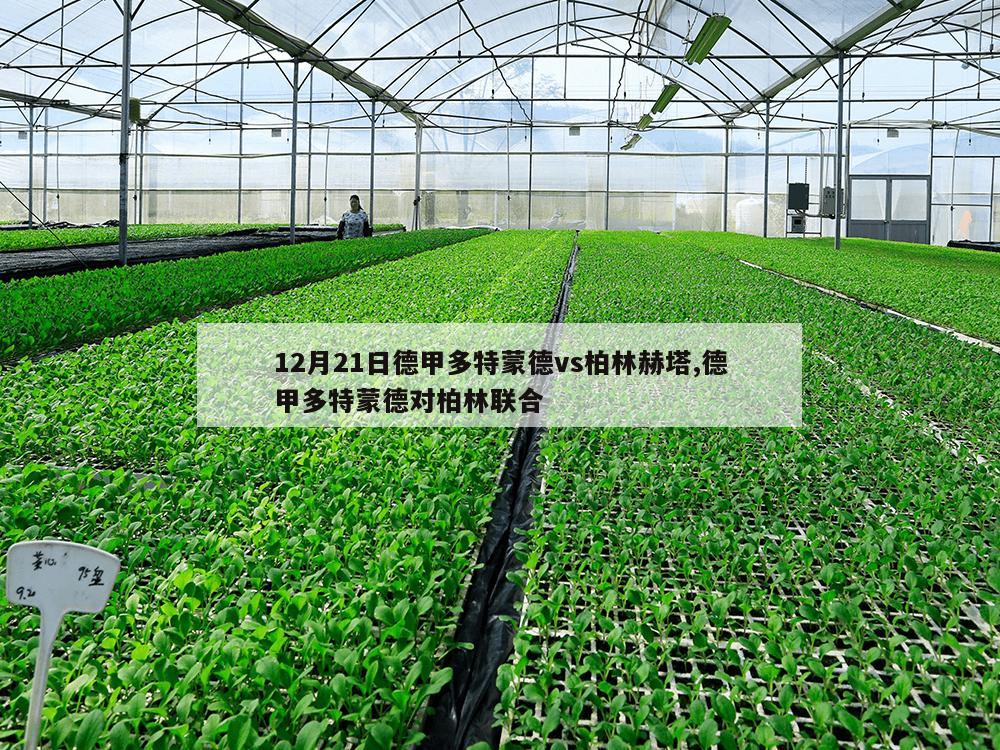 12月21日德甲多特蒙德vs柏林赫塔,德甲多特蒙德对柏林联合